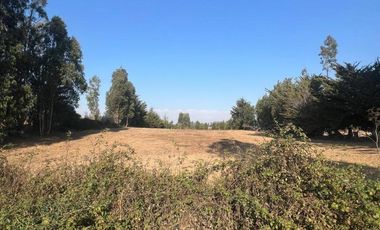 Terreno Sector Nuevos Reinos , Pichilemu