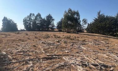 Terreno Sector Nuevos Reinos , Pichilemu