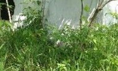 TERRENO - JALTIPÁN, VERACRUZ | 100,000 m² | $85.90 x m² | INVERSIÓN TOTAL: $8,590,000 MXN