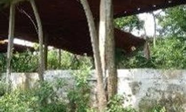 TERRENO - JALTIPÁN, VERACRUZ | 100,000 m² | $85.90 x m² | INVERSIÓN TOTAL: $8,590,000 MXN