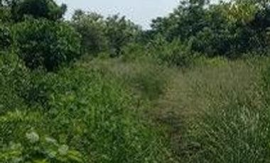 TERRENO - JALTIPÁN, VERACRUZ | 100,000 m² | $85.90 x m² | INVERSIÓN TOTAL: $8,590,000 MXN