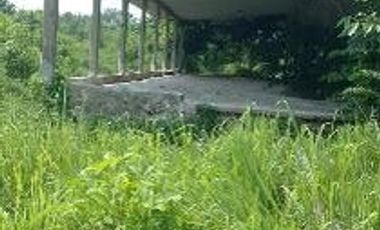 TERRENO - JALTIPÁN, VERACRUZ | 100,000 m² | $85.90 x m² | INVERSIÓN TOTAL: $8,590,000 MXN