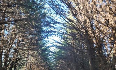 Terreno Sector El Molino , Pichilemu
