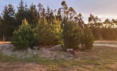 Terreno Sector El Molino , Pichilemu
