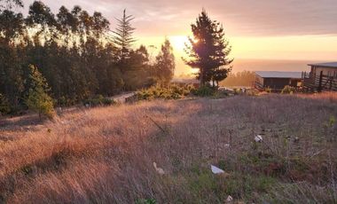 Terreno Sector El Molino , Pichilemu