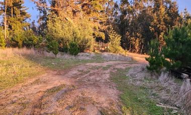 Terreno Sector El Molino , Pichilemu