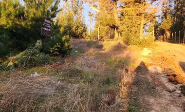 Terreno Sector El Molino , Pichilemu