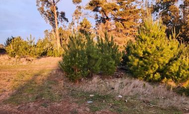 Terreno Sector El Molino , Pichilemu