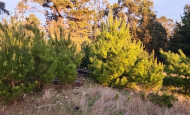 Terreno Sector El Molino , Pichilemu
