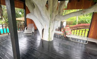 ALQUILER DE LINDA FINCA EL RECREO INFORMES AL3019514101