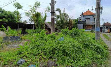 Tanah Cocok Untuk Toko dan Usaha Pinggir Jalan Utama Pering Tojan Blahbatuh