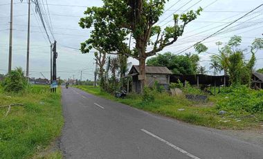 Tanah Cocok Untuk Toko dan Usaha Pinggir Jalan Utama Pering Tojan Blahbatuh