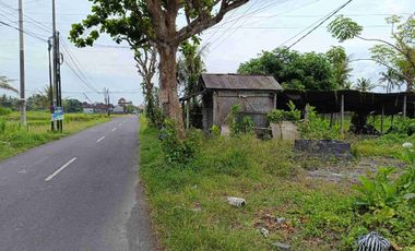 Tanah Cocok Untuk Toko dan Usaha Pinggir Jalan Utama Pering Tojan Blahbatuh