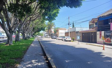 Renta o Venta Local 31 Oriente El Mirador