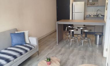 ARRIENDO DEPARATAMENTO ÑUÑOA 1 DORMITORIO 1 BAÑO AMOBLADO