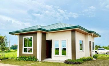 FOR SALE! Single Detached Brand New House and Lot in Silay City-AP