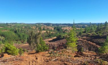 Terreno Cercano a Paredones