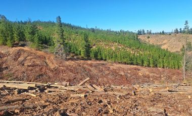 Terreno Cercano a Paredones