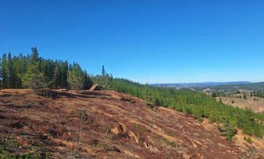 Terreno Cercano a Paredones