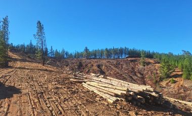 Terreno Cercano a Paredones
