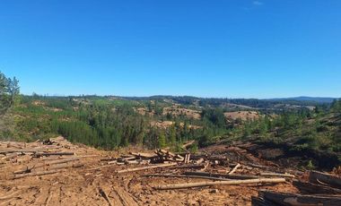 Terreno Cercano a Paredones