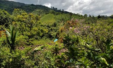 VENTA DE CASA FINCA EN BARBOSA ANTIOQUIA COLOMBIA.