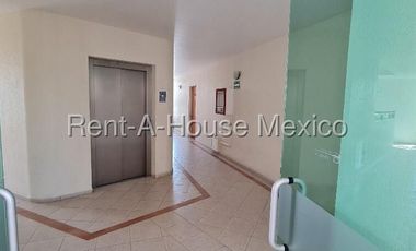 Renta Departamento en Palo Solo / Huixcuilucan