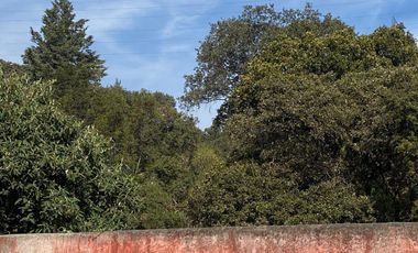 DEPARTAMENTO EN RENTA. TORRES DE POTRERO. ÁLVARO OBREGÓN.