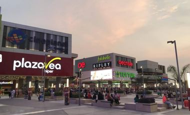 Se Vende Casa De 160M2 De Terreno Con Parametros De 5 Pisos