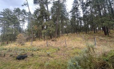 Terreno en venta en Juanacatlán Tapalpa