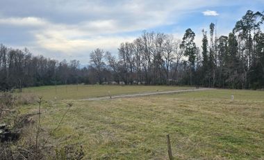 Exclusivas Parcelas A Orilla De Carretera En Villarrica