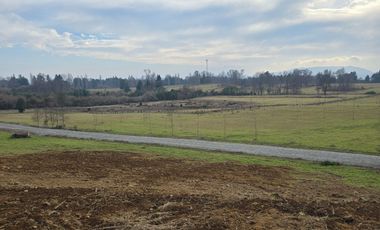 Exclusivas Parcelas A Orilla De Carretera En Villarrica