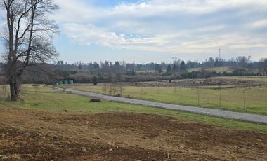 Exclusivas Parcelas A Orilla De Carretera En Villarrica