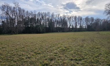 Exclusivas Parcelas A Orilla De Carretera En Villarrica