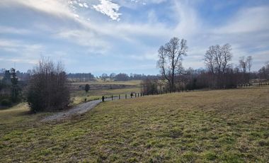 Exclusivas Parcelas A Orilla De Carretera En Villarrica