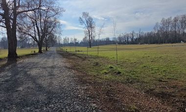 Exclusivas Parcelas A Orilla De Carretera En Villarrica