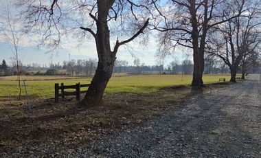 Exclusivas Parcelas A Orilla De Carretera En Villarrica