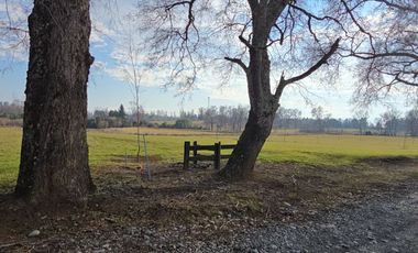 Exclusivas Parcelas A Orilla De Carretera En Villarrica