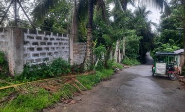 House in a 5,000 sqm Farm Lot in Banayad, Mendez for SALE! 6k per sqm