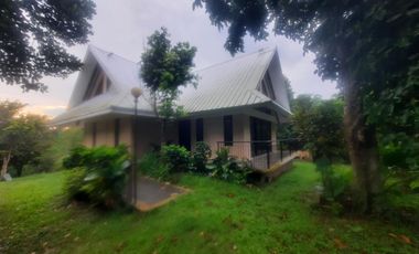 House in a 5,000 sqm Farm Lot in Banayad, Mendez for SALE! 6k per sqm