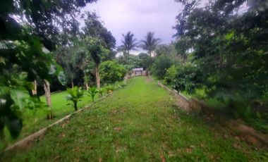 House in a 5,000 sqm Farm Lot in Banayad, Mendez for SALE! 6k per sqm