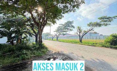 Tanah Kavling Dekat PT Jia Wei Di Desa Padakaton Ketanggungan Brebes