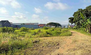 Tanah Kavling Dekat PT Jia Wei Di Desa Padakaton Ketanggungan Brebes