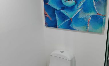 DEPARTAMENTO AMUEBLADO EN RENTA EN BIOSFERA TOWERS
