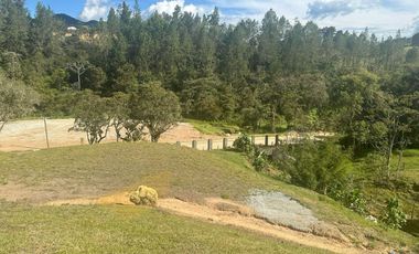 Lote en Venta en Vereda Pantanillo,El Retiro .Antioquia