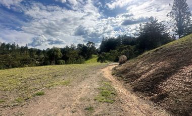 Lote en Venta en Vereda Pantanillo,El Retiro .Antioquia