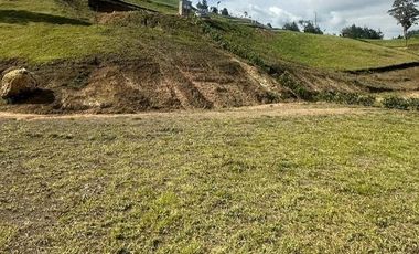 Lote en Venta en Vereda Pantanillo,El Retiro .Antioquia