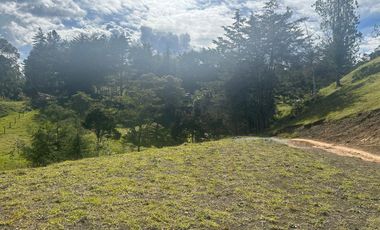Lote en Venta en Vereda Pantanillo,El Retiro .Antioquia