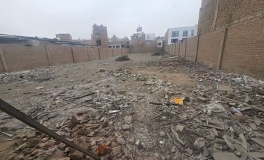 Terreno Comercial de 1377 m² con frente de 20 Ml. en Avenida - Los Olivos