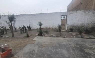 Terreno Comercial de 1377 m² con frente de 20 Ml. en Avenida - Los Olivos